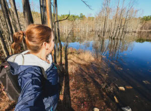 day trip to Carvers Creek