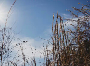 How to create an adventure mindset