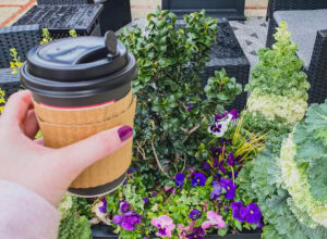 best coffee shops in Fayetteville