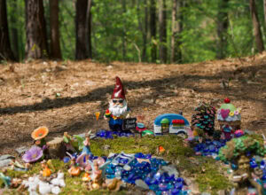 Clark Park Fayetteville NC