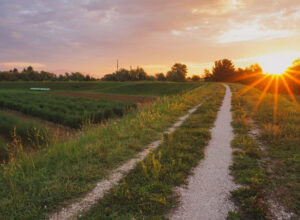 how to make the most of where you live