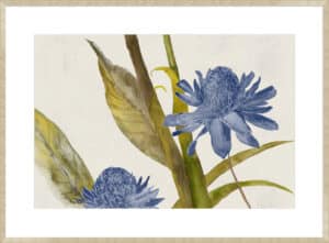 Blue Ginger - 10cm Mount Board Sm. Box Champagne 