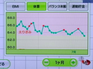 Wii Fit