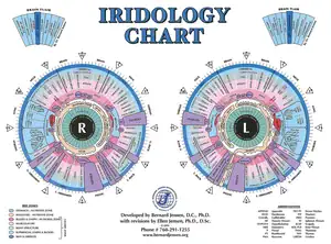 A look into Iridology. The windows to your state of health. 