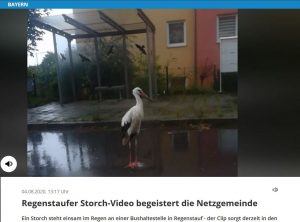 Wenn etwas "die Netzgemeinde" begeistert (Screenshot)