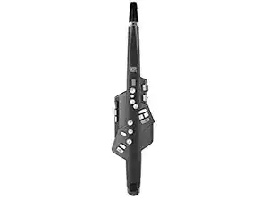 Roland Aerophone AE-10G Digital Wind Instrument