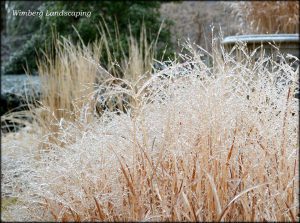 Read more about the article The Extended Garden Season
