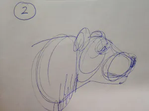 Bear Head Sketch