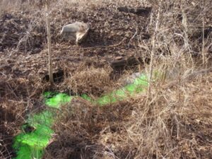 Sewer Tracing Dye