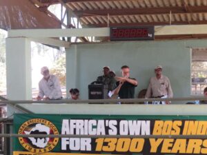 IMG_0415