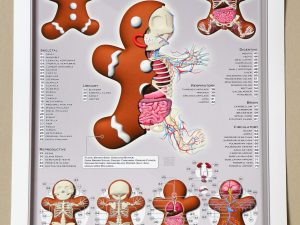 Lot #HB29-076 – Jason Freeny Gingerbread Man Dissected Print Limited Edition of 75 Art Archival Pigment Print