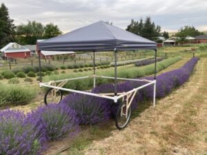 BBLF - Shade Canopy in North Field