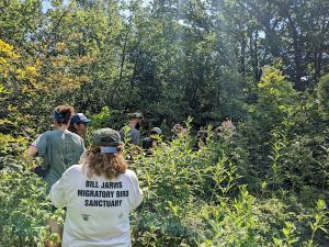 Bill Jarvis Migratory Bird Sanctuary