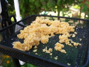 How to Make No Melt Bird Suet