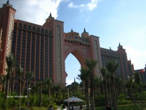 The Palm