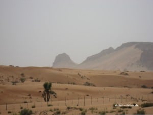 Dune