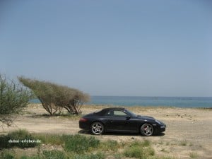 At the beach