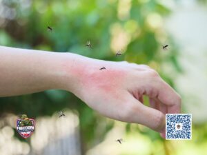 McGee's Crossroads, NC Mosquito Control