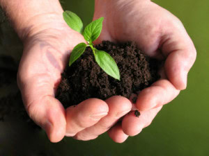 istock_000000589354xsmall