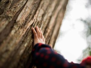 Hochsensibles Kind in der Natur