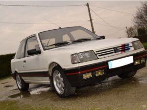Bandes PTS CALANDRE 309 GTI Phase1