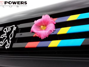 Stickers bande PTS de calandre Peugeot 205 GTI