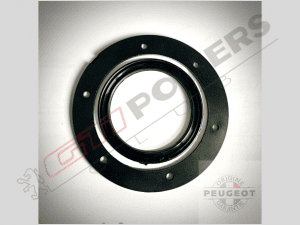 Ensemble de joints réservoir essence Original Peugeot