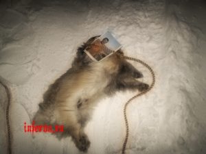 петля рабства сильный приворот на подчинение