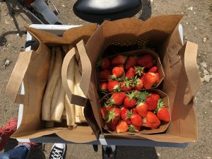 Erdbeeren und Spargel im Fahrradkorb