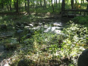 2 BEST CAMPGROUNDS FOR KENDALL COUNTY CAMPING | CAMPING NEAR OSWEGO, IL 3_2021 camping near oswego