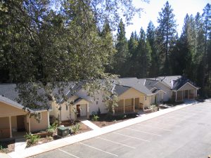 GAF_ELK Asphalt Shingles