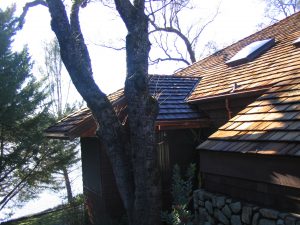 Premium Grade (heavy). Clear heartwood