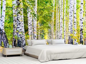 Foto tapeta za spavaću sobu – Mirna šuma – varijanta 9
