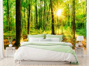 Foto tapeta za spavaću sobu – Mirna šuma – varijanta 20