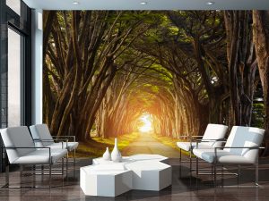 3D foto tapeta – Šumski pejzaž – varijanta 2