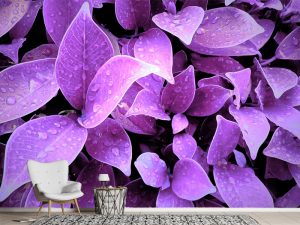 3D foto tapeta – Cvetovi od papira