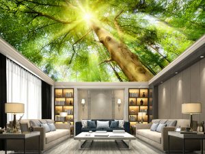 Plafonska foto tapeta – Plafonske foto tapete – varijanta 22