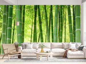 Foto tapeta – Zeleni Šapat Bambusa