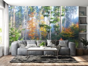 Foto tapeta – Šumska Harmonija Jeseni