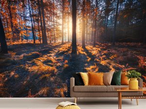 Foto tapeta – Zlatna Šumska Svetlost