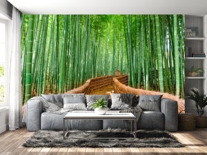 Foto tapeta – Staza Kroz Zeleni Zen Vrt