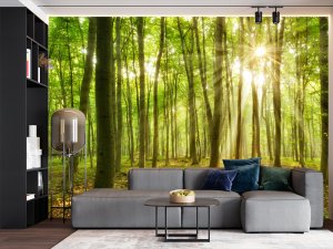 Foto tapeta – Sunčeva Kapija Šume