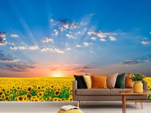 Foto tapeta – More Suncokreta Pod Nebom