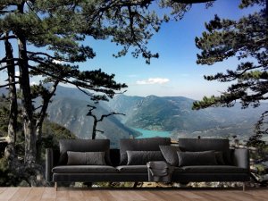 Foto tapeta – Pogled Kroz Borove Na Planinsku Dolinu