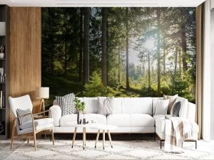 Foto tapeta – Sunčevi Tragovi