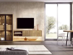 Composición TV Col
