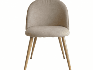 Silla Canvas Director