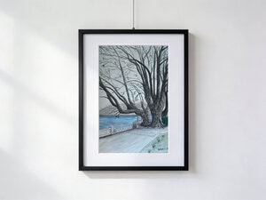 Watercolour of the four historic plane trees at the Locarno landing stage overlooking Lake Maggiore, with imposing trunks and bare branches on a winter's day.