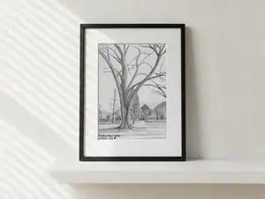 Grande albero spoglio nel Parco della Pace, acquarello in toni di grigio di Gordana Majic con altri alberi e montagne sullo sfondo.