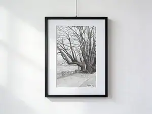 Acquerello dei quattro platani storici vicino al Debarcadero di Locarno, con tronchi imponenti, rami intrecciati, parapetto e Lago Maggiore sullo sfondo; opera con passepartout e cornice nera, dimensioni esterne 30 × 40 cm.